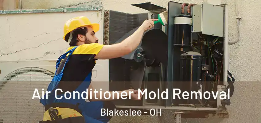  Air Conditioner Mold Removal Blakeslee - OH