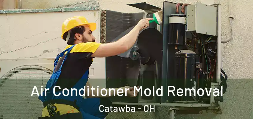  Air Conditioner Mold Removal Catawba - OH