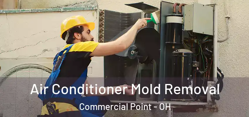  Air Conditioner Mold Removal Commercial Point - OH