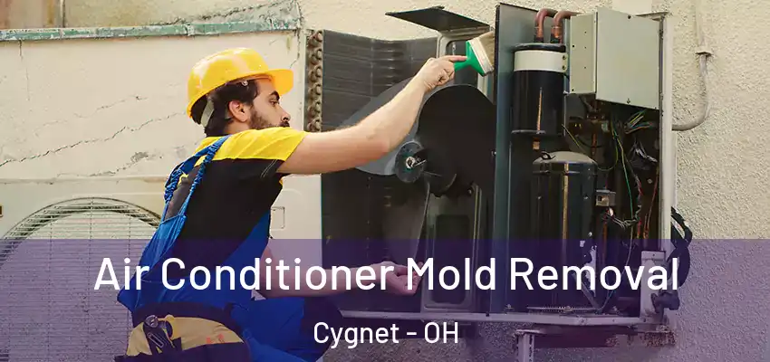  Air Conditioner Mold Removal Cygnet - OH