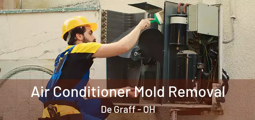  Air Conditioner Mold Removal De Graff - OH