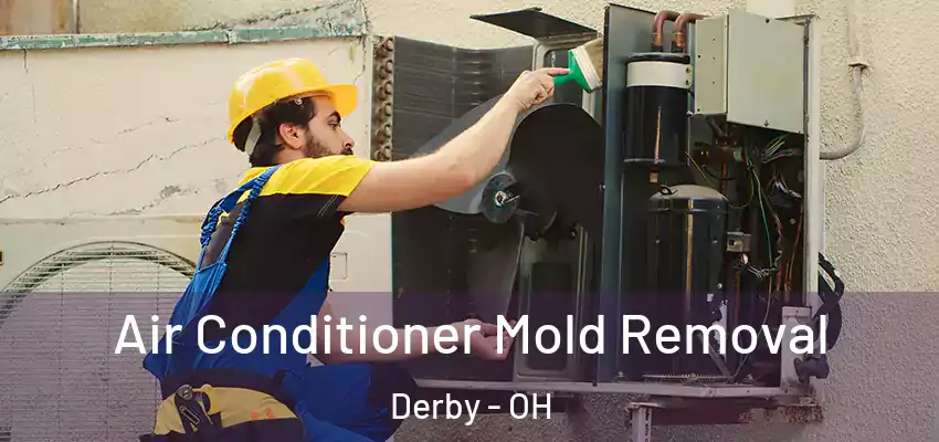  Air Conditioner Mold Removal Derby - OH