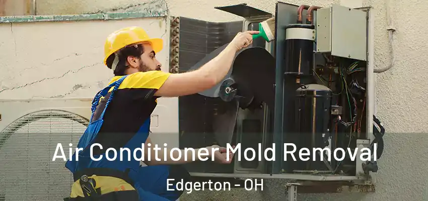  Air Conditioner Mold Removal Edgerton - OH