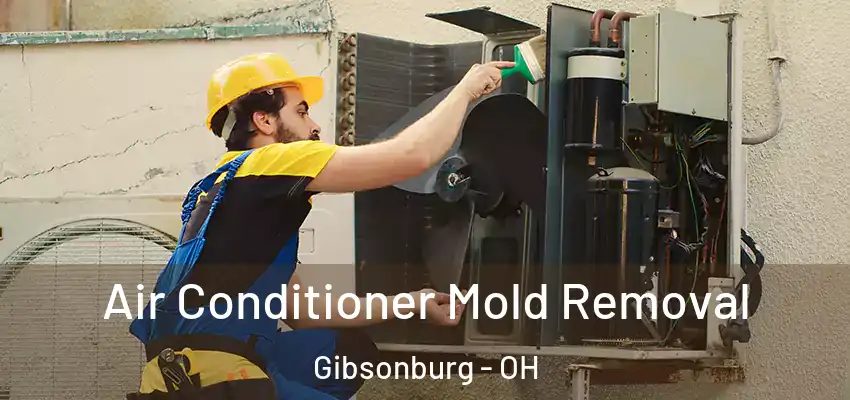  Air Conditioner Mold Removal Gibsonburg - OH