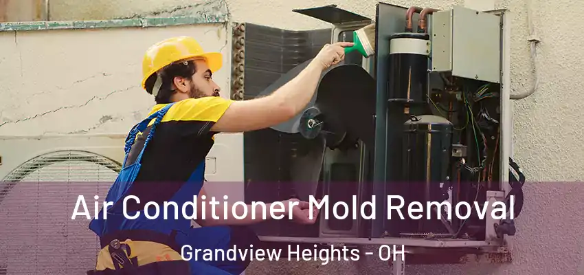  Air Conditioner Mold Removal Grandview Heights - OH