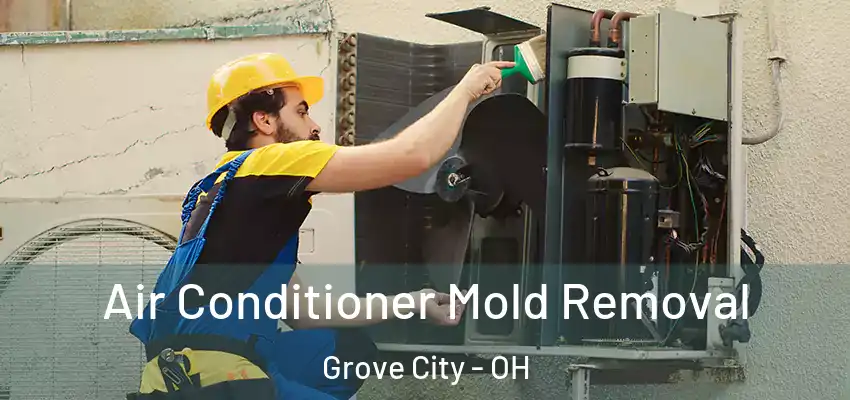 Air Conditioner Mold Removal Grove City - OH