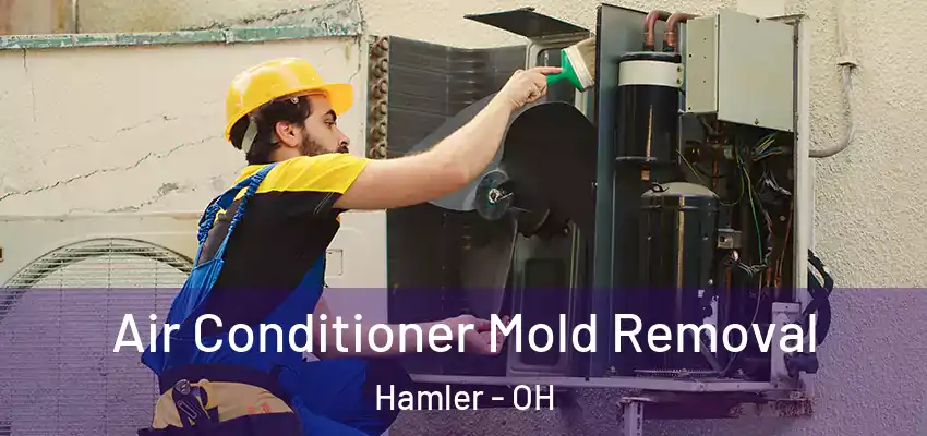  Air Conditioner Mold Removal Hamler - OH