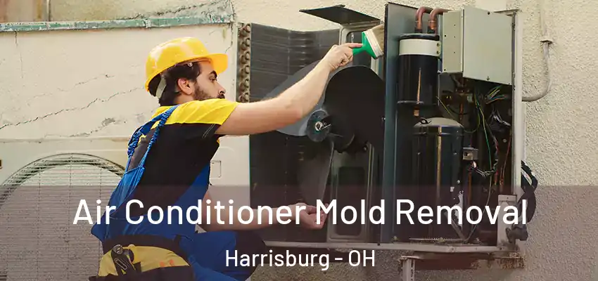  Air Conditioner Mold Removal Harrisburg - OH
