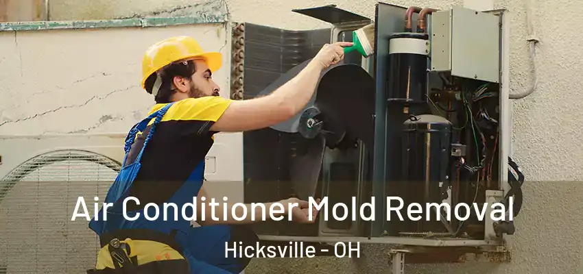  Air Conditioner Mold Removal Hicksville - OH