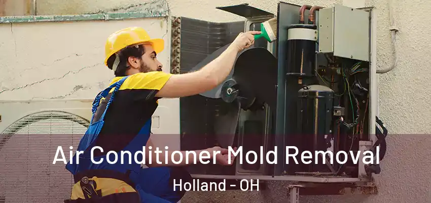  Air Conditioner Mold Removal Holland - OH