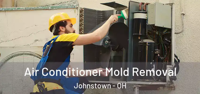  Air Conditioner Mold Removal Johnstown - OH