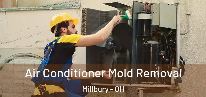  Air Conditioner Mold Removal Millbury - OH
