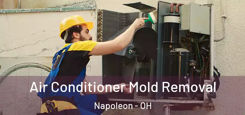  Air Conditioner Mold Removal Napoleon - OH