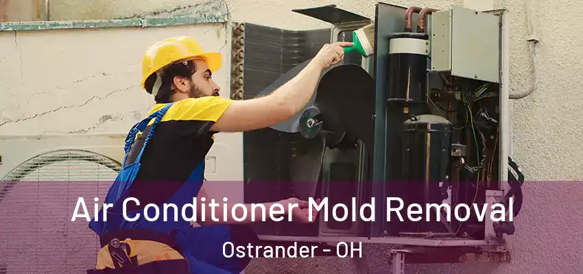  Air Conditioner Mold Removal Ostrander - OH