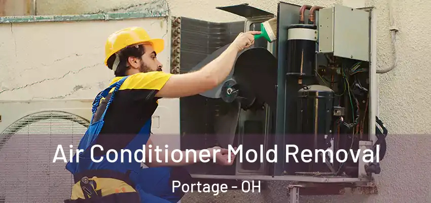  Air Conditioner Mold Removal Portage - OH