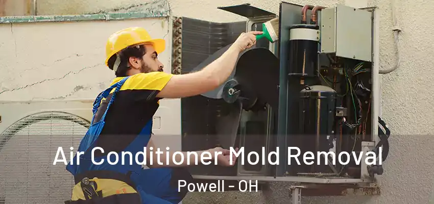  Air Conditioner Mold Removal Powell - OH