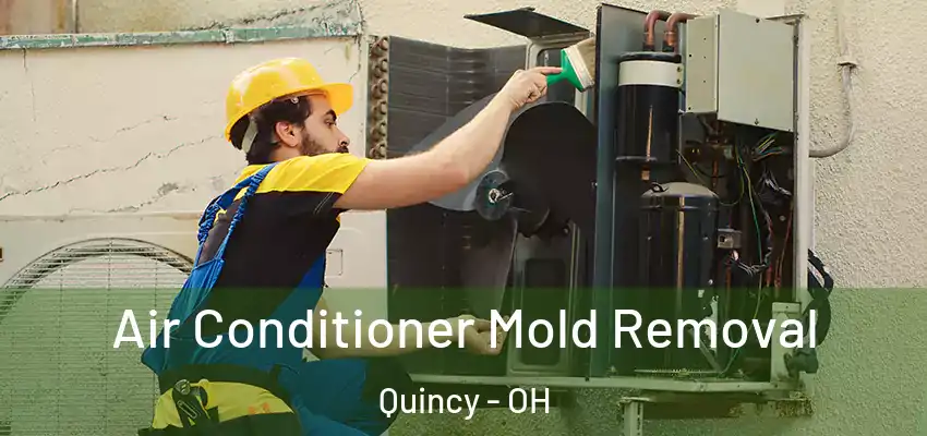  Air Conditioner Mold Removal Quincy - OH