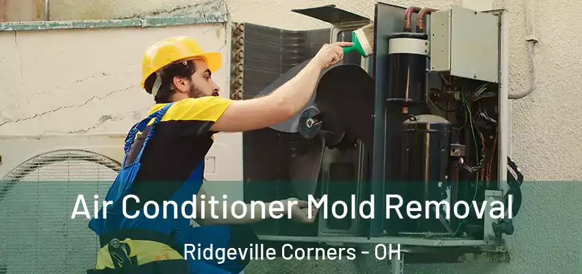  Air Conditioner Mold Removal Ridgeville Corners - OH