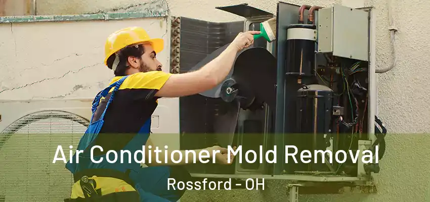  Air Conditioner Mold Removal Rossford - OH