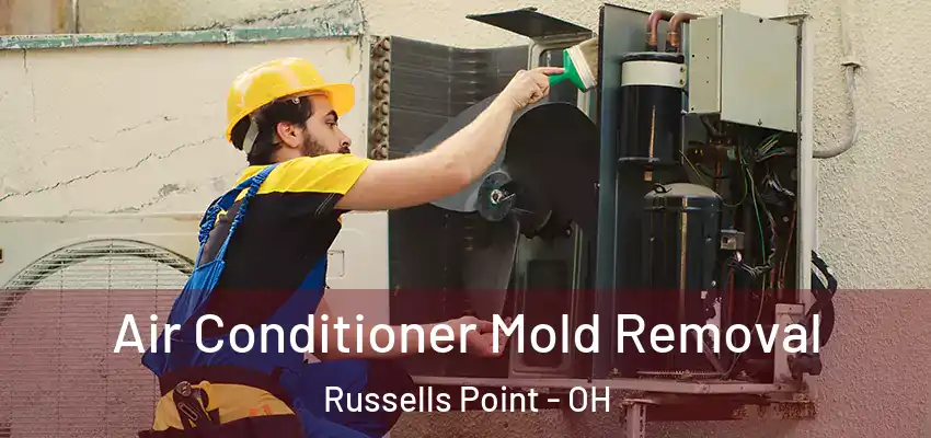  Air Conditioner Mold Removal Russells Point - OH