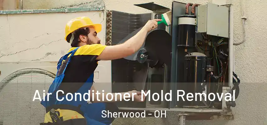  Air Conditioner Mold Removal Sherwood - OH
