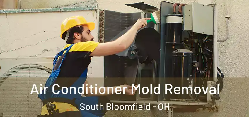  Air Conditioner Mold Removal South Bloomfield - OH