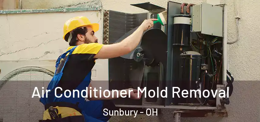  Air Conditioner Mold Removal Sunbury - OH