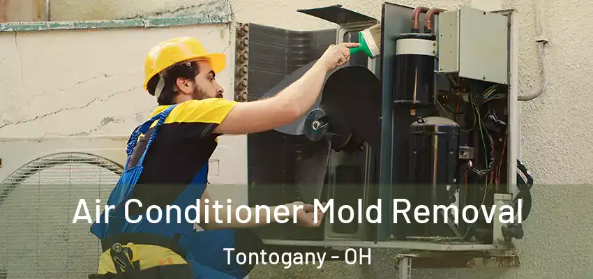  Air Conditioner Mold Removal Tontogany - OH
