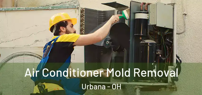  Air Conditioner Mold Removal Urbana - OH
