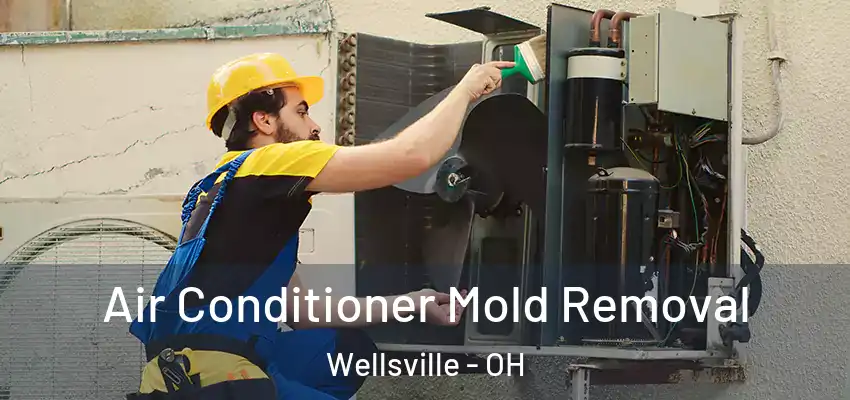  Air Conditioner Mold Removal Wellsville - OH