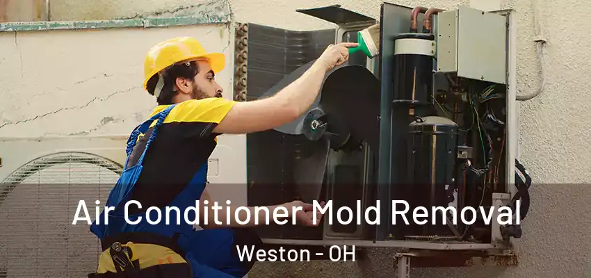  Air Conditioner Mold Removal Weston - OH