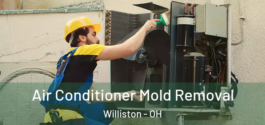  Air Conditioner Mold Removal Williston - OH