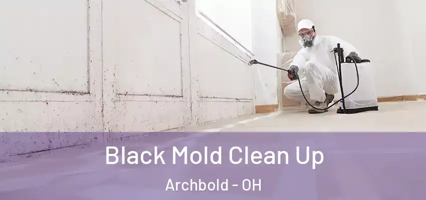  Black Mold Clean Up Archbold - OH