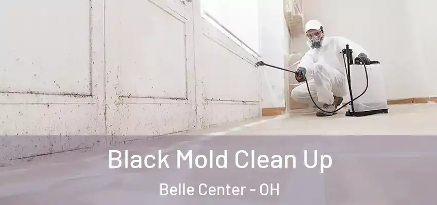  Black Mold Clean Up Belle Center - OH