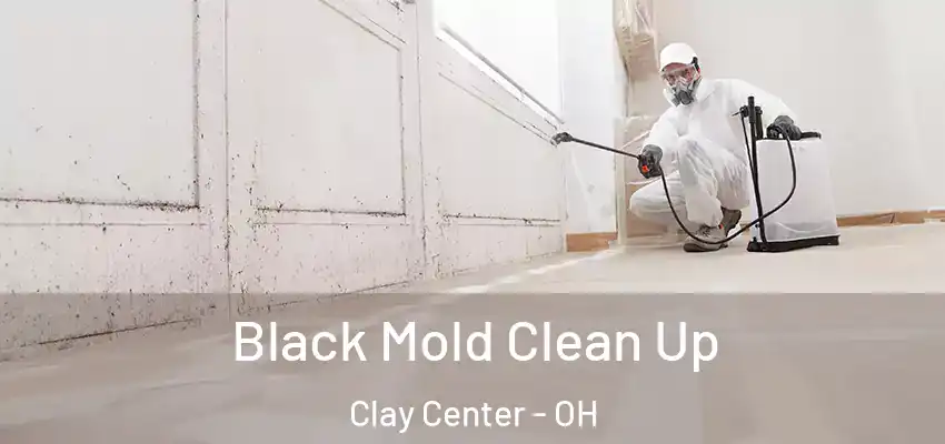  Black Mold Clean Up Clay Center - OH