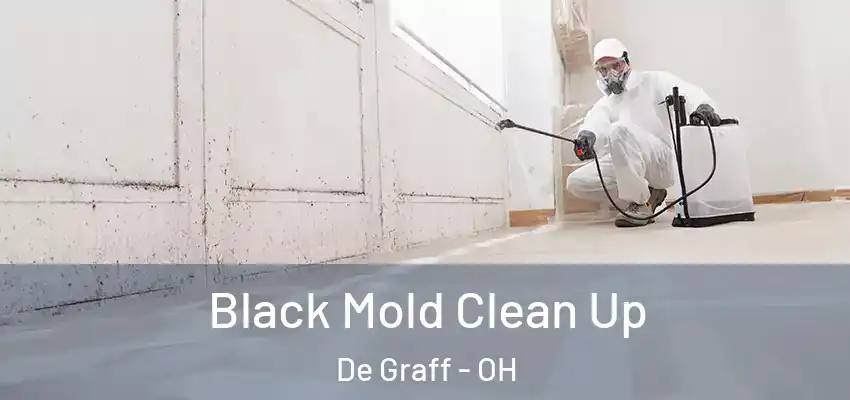  Black Mold Clean Up De Graff - OH
