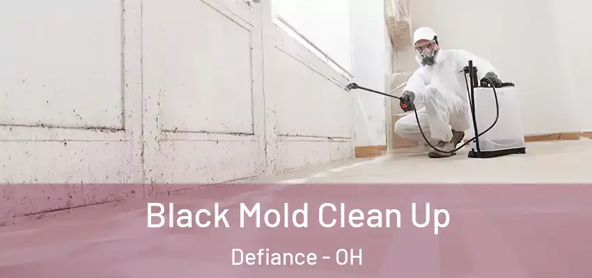 Black Mold Clean Up Defiance - OH