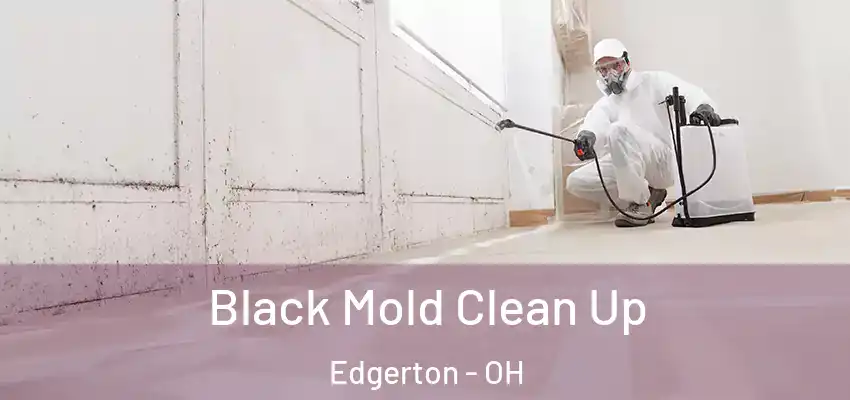  Black Mold Clean Up Edgerton - OH