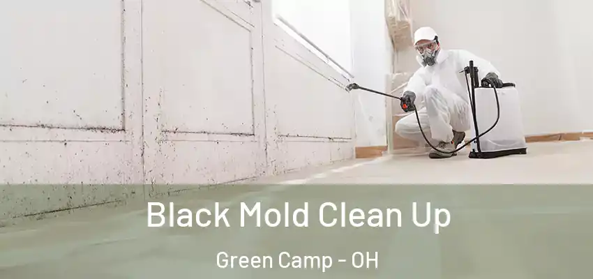  Black Mold Clean Up Green Camp - OH
