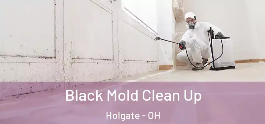  Black Mold Clean Up Holgate - OH