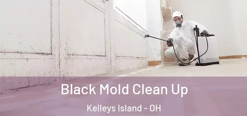  Black Mold Clean Up Kelleys Island - OH