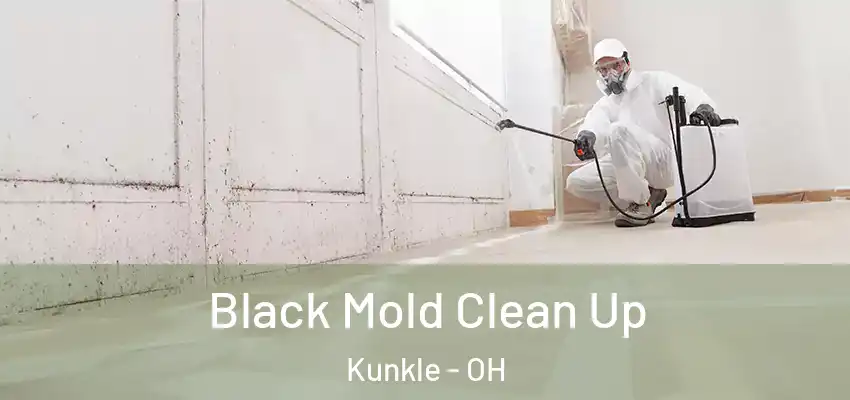  Black Mold Clean Up Kunkle - OH