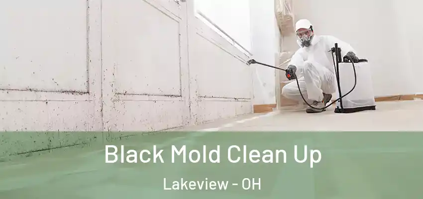  Black Mold Clean Up Lakeview - OH