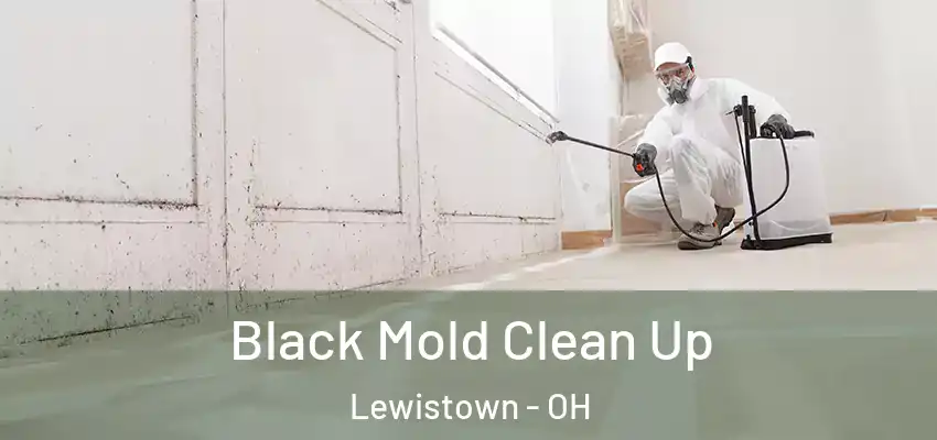  Black Mold Clean Up Lewistown - OH