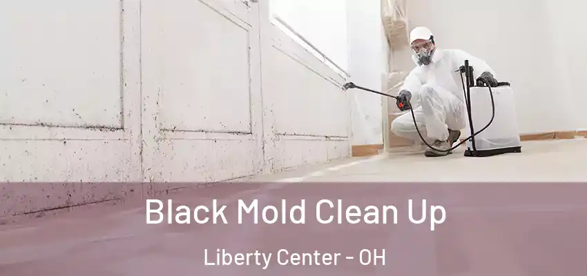  Black Mold Clean Up Liberty Center - OH