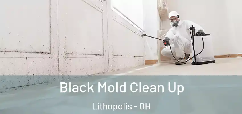  Black Mold Clean Up Lithopolis - OH