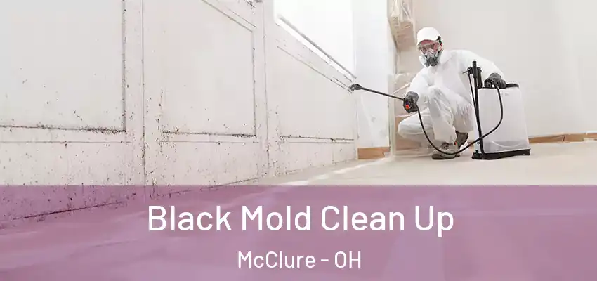  Black Mold Clean Up McClure - OH