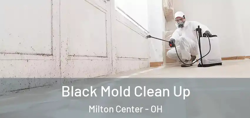  Black Mold Clean Up Milton Center - OH