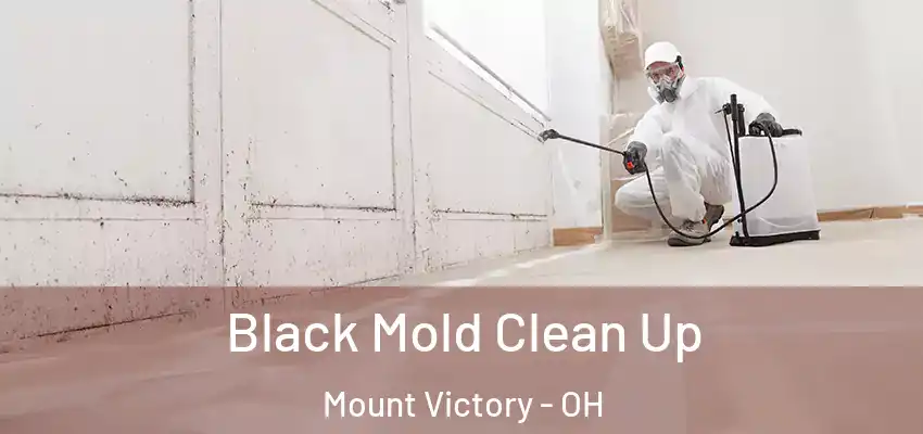  Black Mold Clean Up Mount Victory - OH