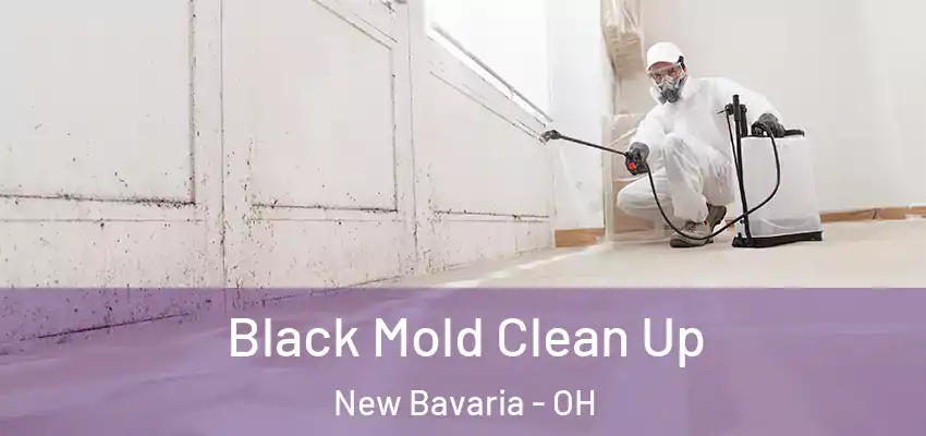  Black Mold Clean Up New Bavaria - OH